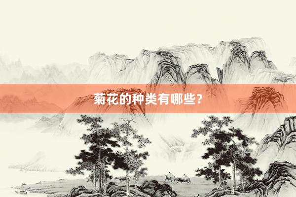 菊花的种类有哪些？
